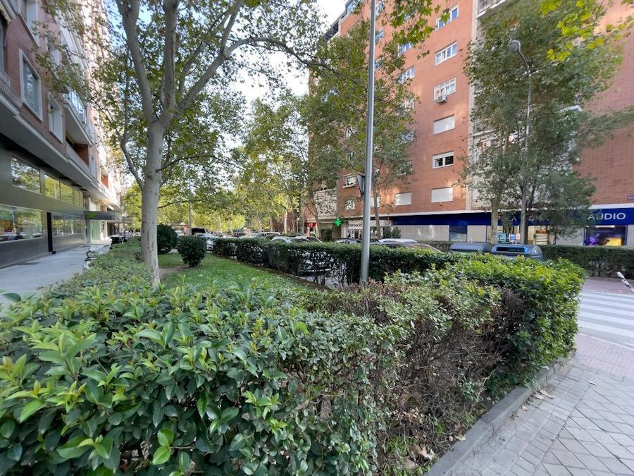 Negocios-Alquiler-Madrid-1791225-Foto-32