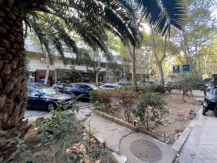 Negocios-Alquiler-Madrid-1791225-Foto-36