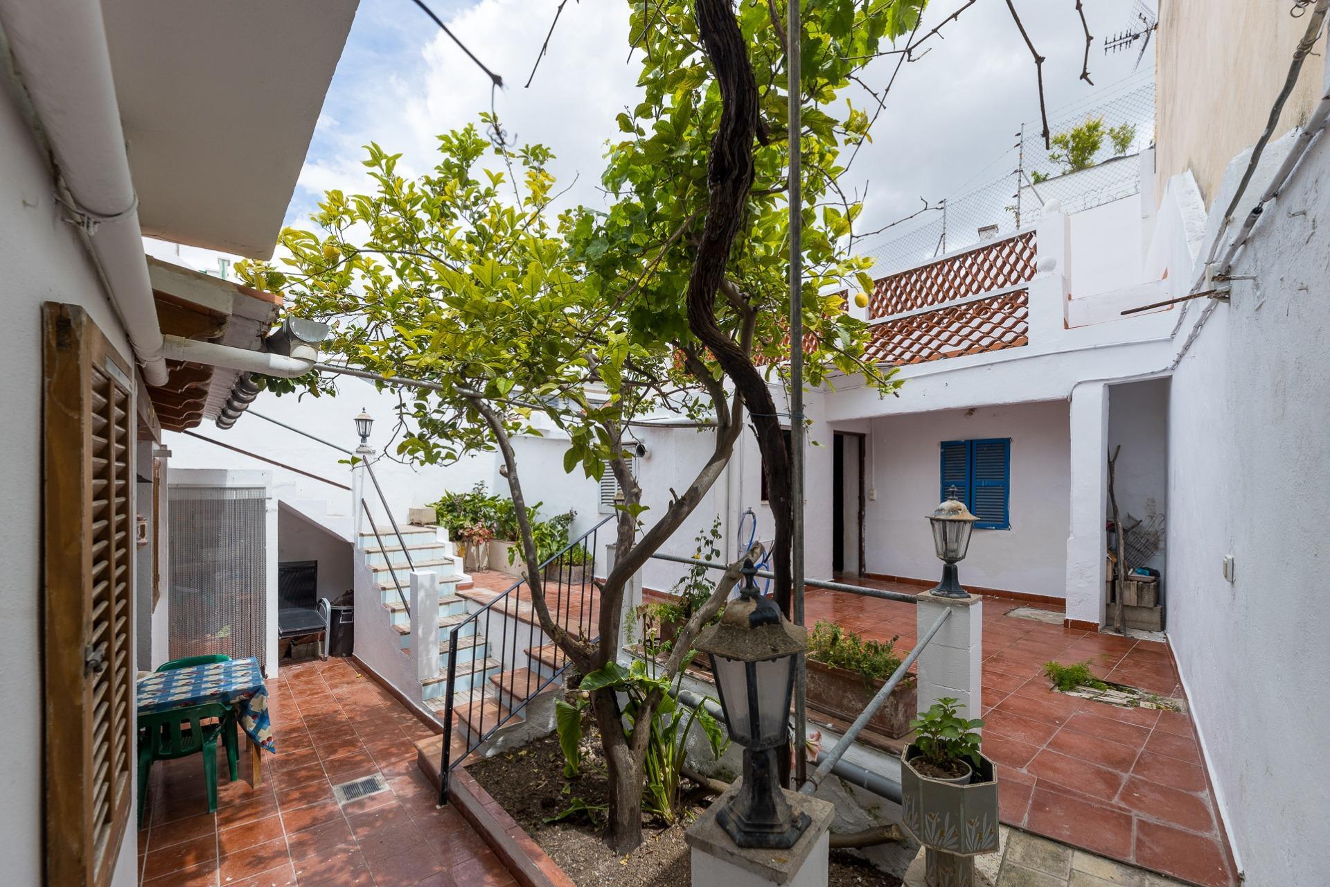 Casas o chalets-Venta-Palma de Mallorca-1721780-Foto-24
