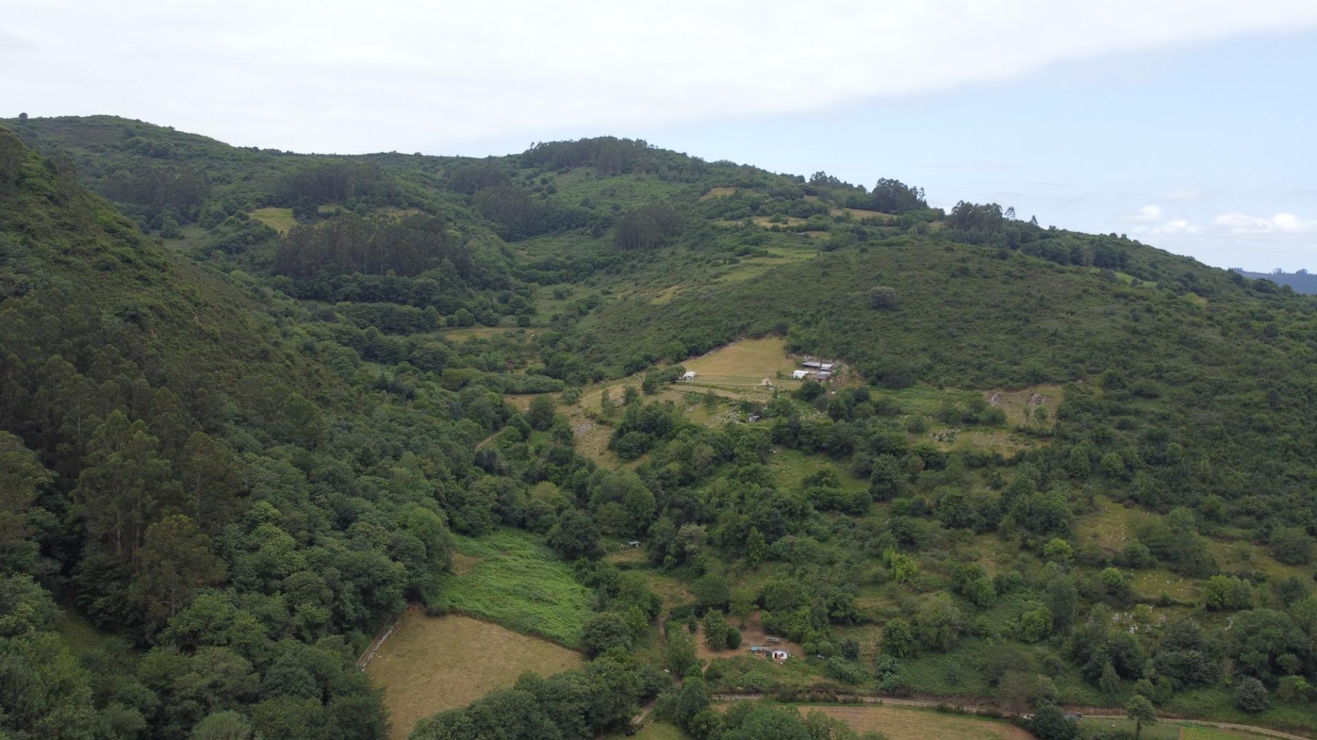 Casas o chalets-Venta-Ribera de Arriba-1791243-Foto-33