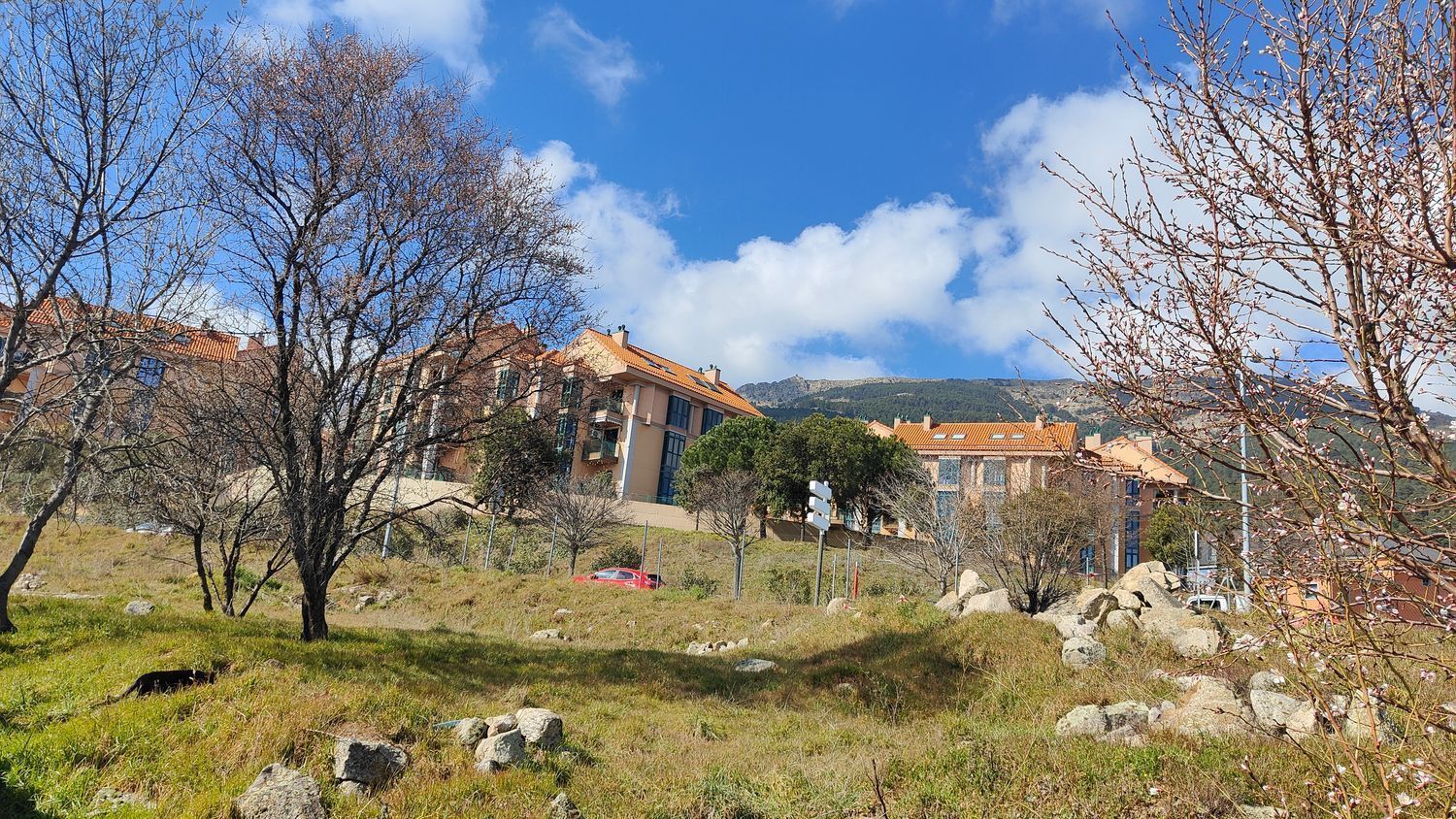 Fincas y solares-Venta-San Lorenzo de El Escorial-1036399-Foto-8