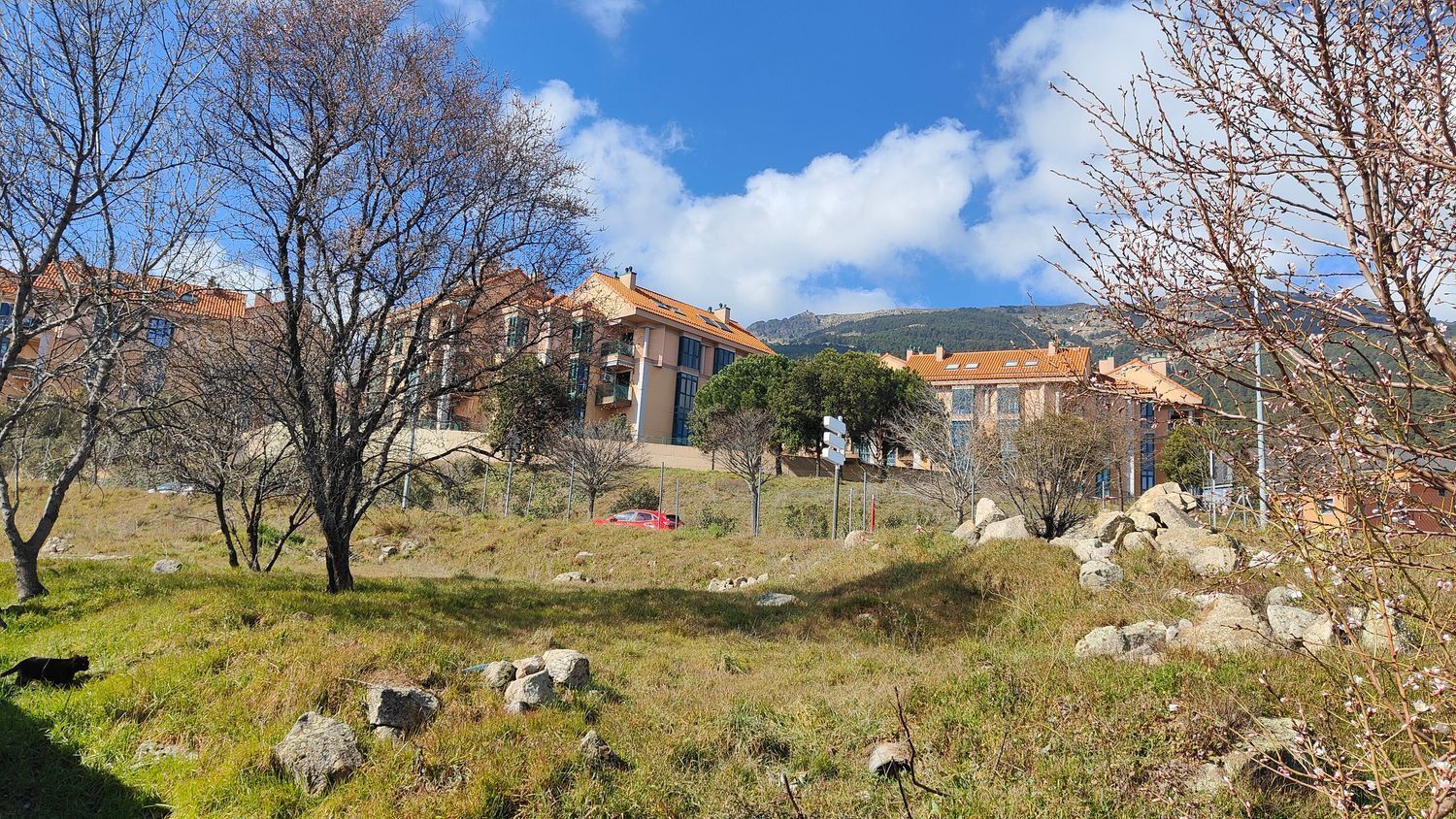 Fincas y solares-Venta-San Lorenzo de El Escorial-1036399-Foto-4