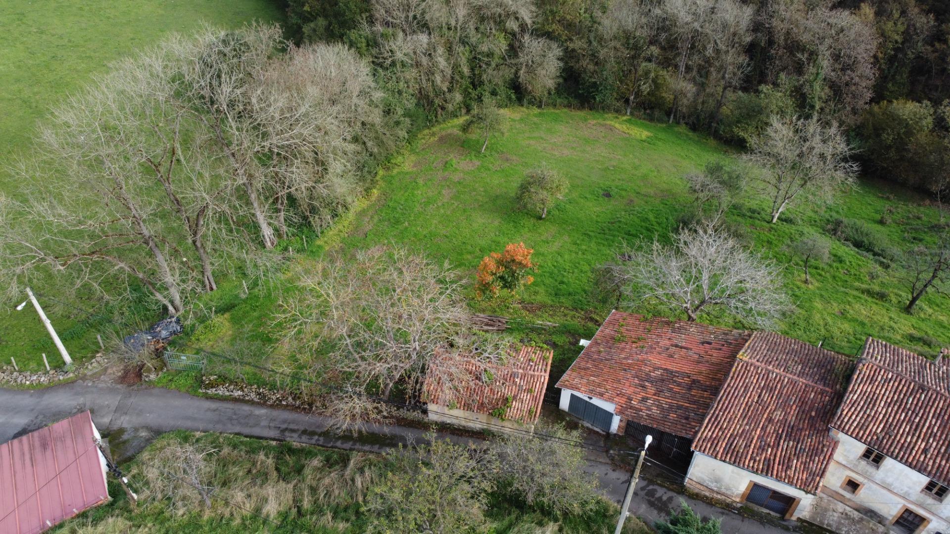 Fincas y solares-Venta-Oviedo-1684777-Foto-10