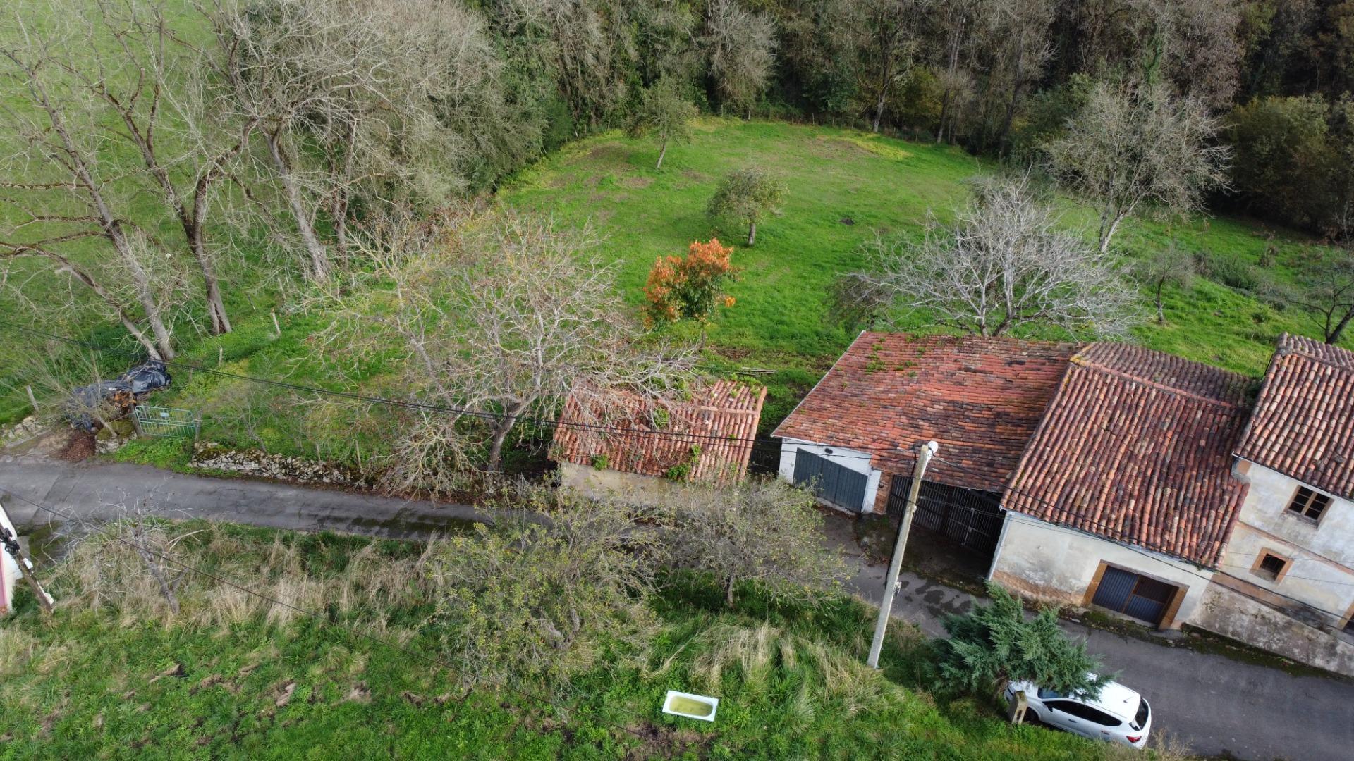 Fincas y solares-Venta-Oviedo-1684777-Foto-14