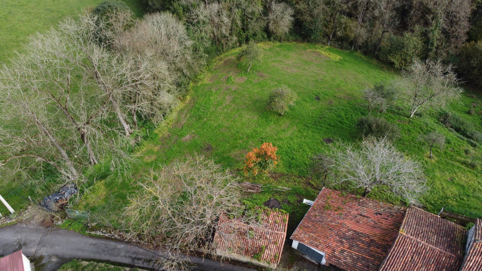 Fincas y solares-Venta-Oviedo-1684777-Foto-11