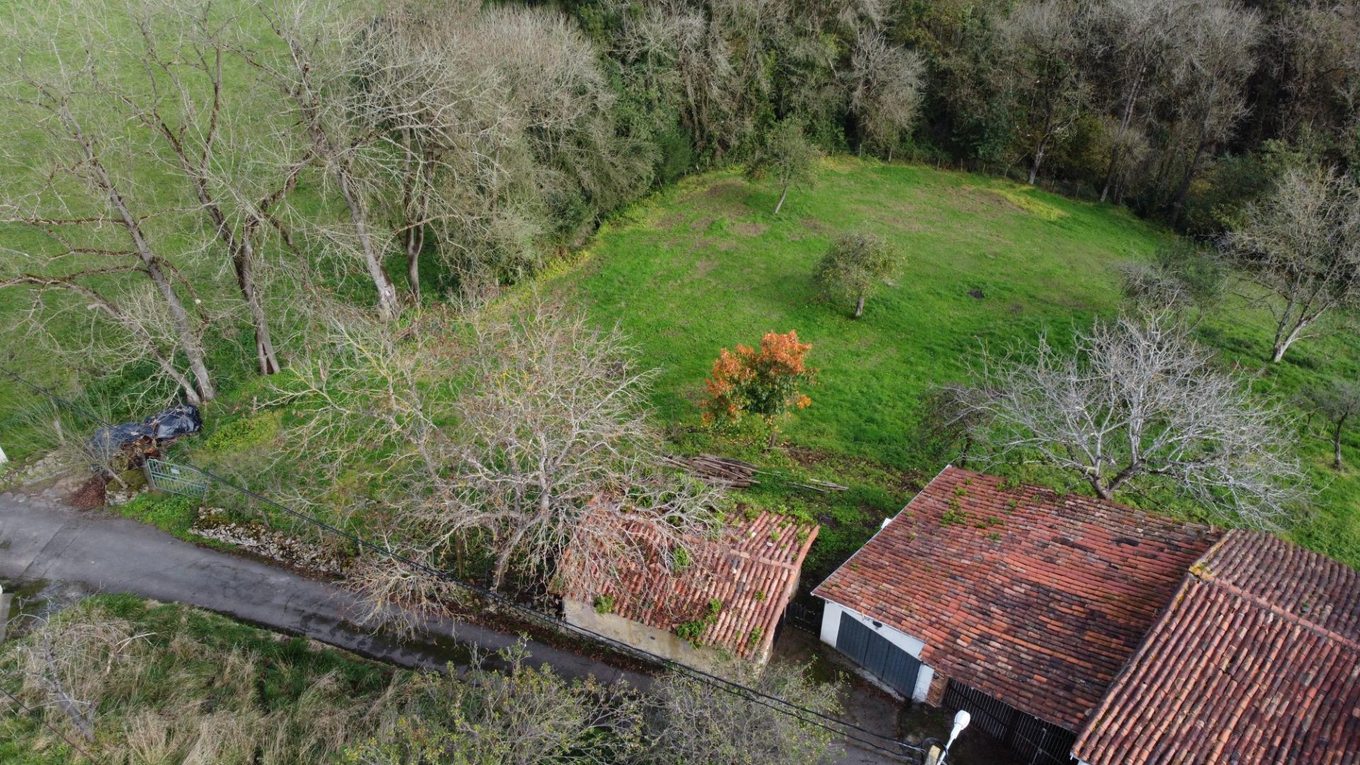 Fincas y solares-Venta-Oviedo-1684777-Foto-15