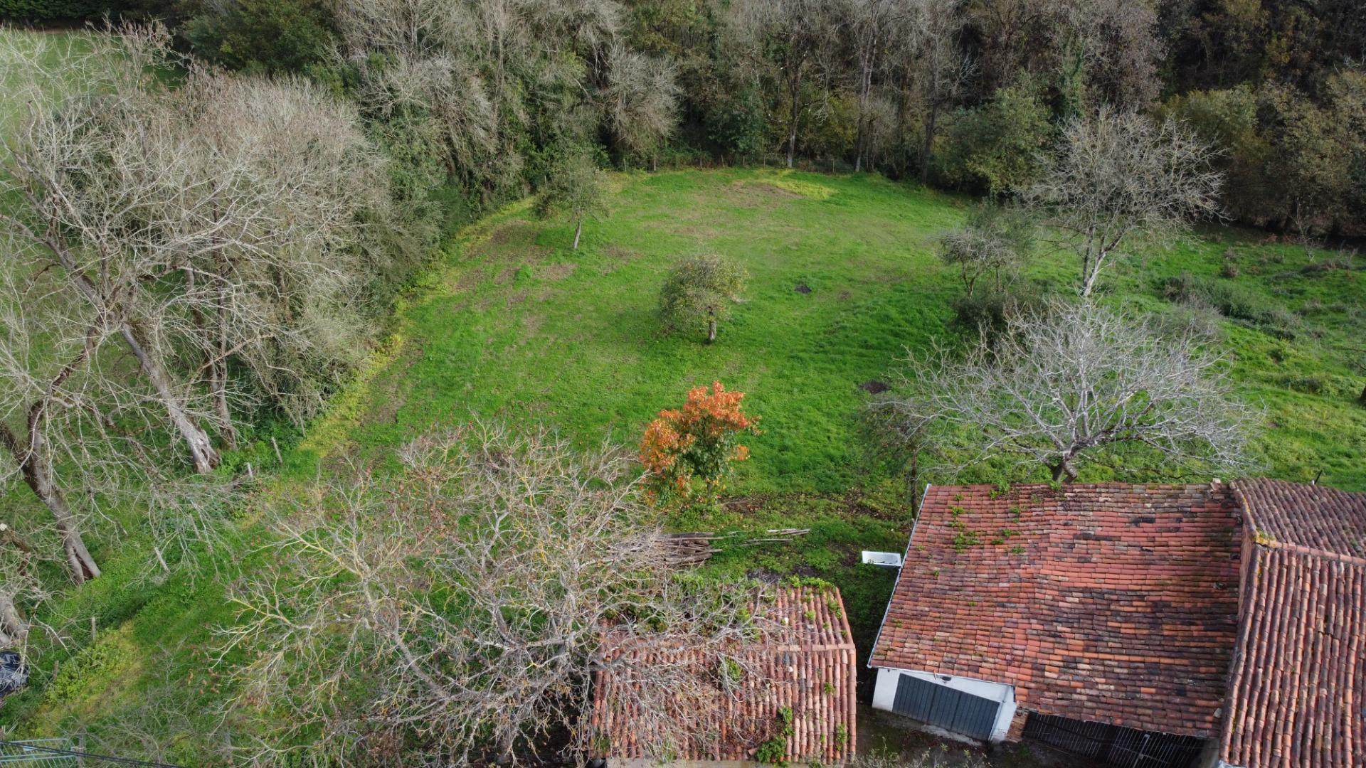 Fincas y solares-Venta-Oviedo-1684777-Foto-16