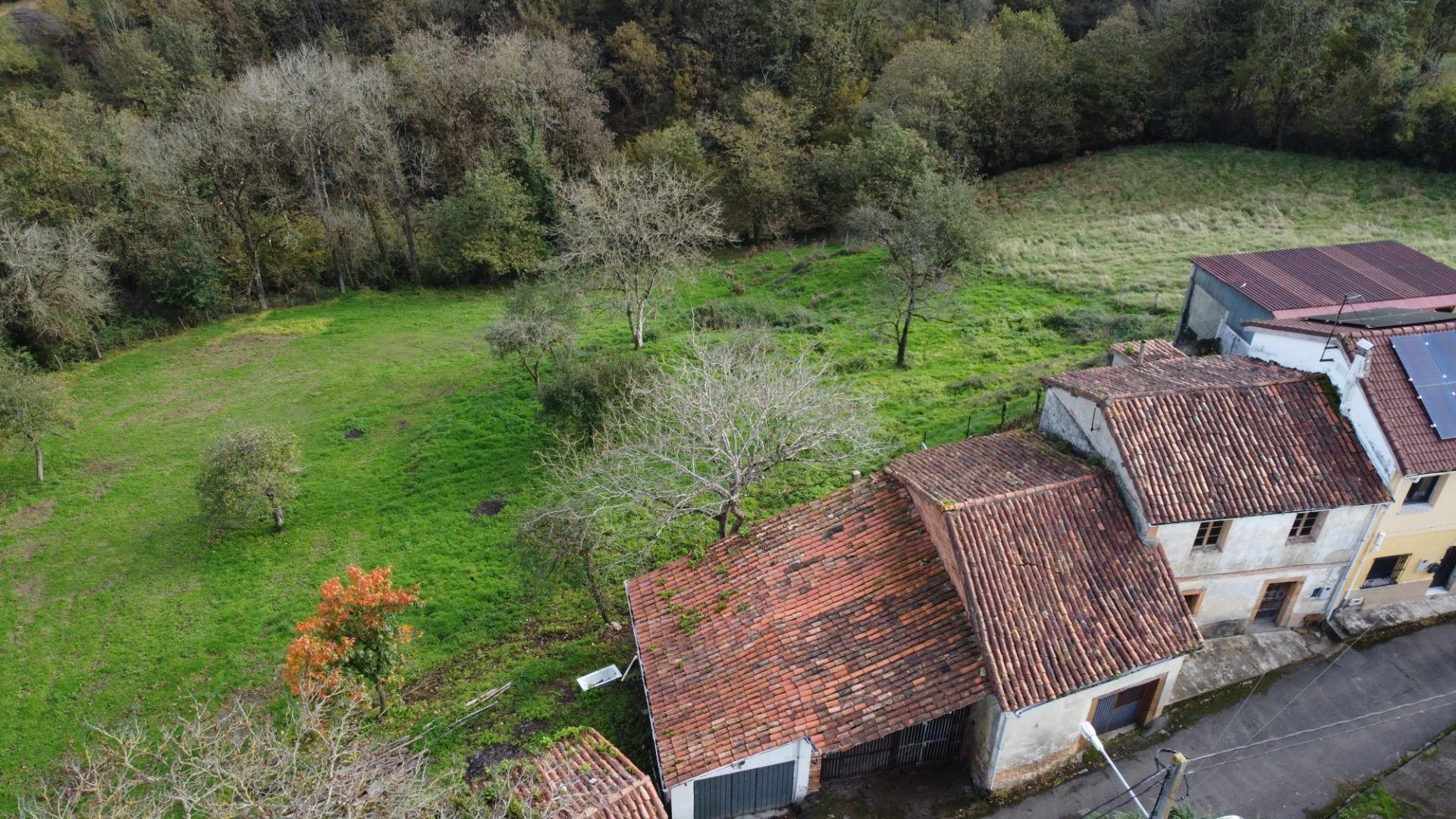 Fincas y solares-Venta-Oviedo-1684777-Foto-17