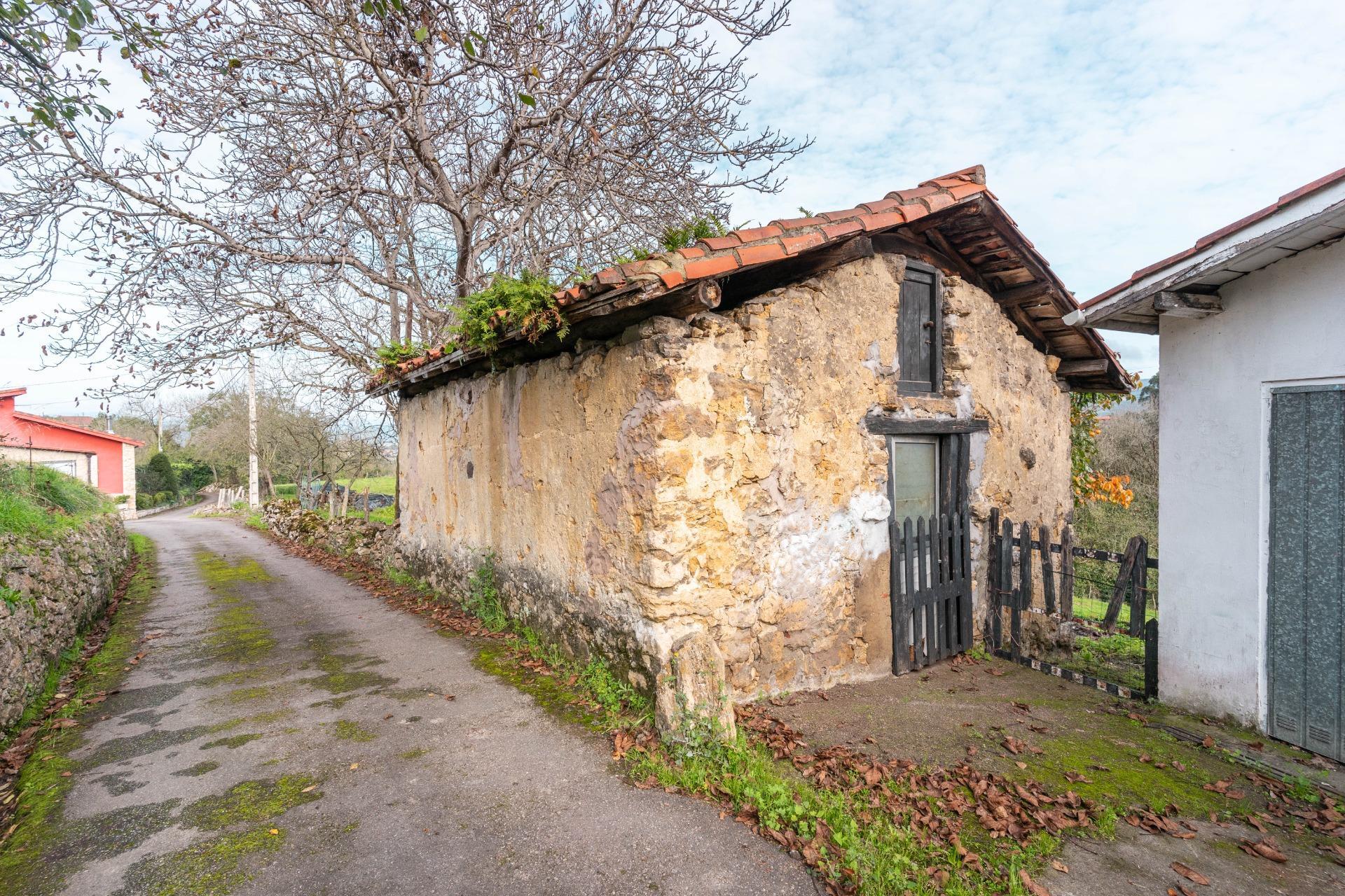 Fincas y solares-Venta-Oviedo-1684777-Foto-21