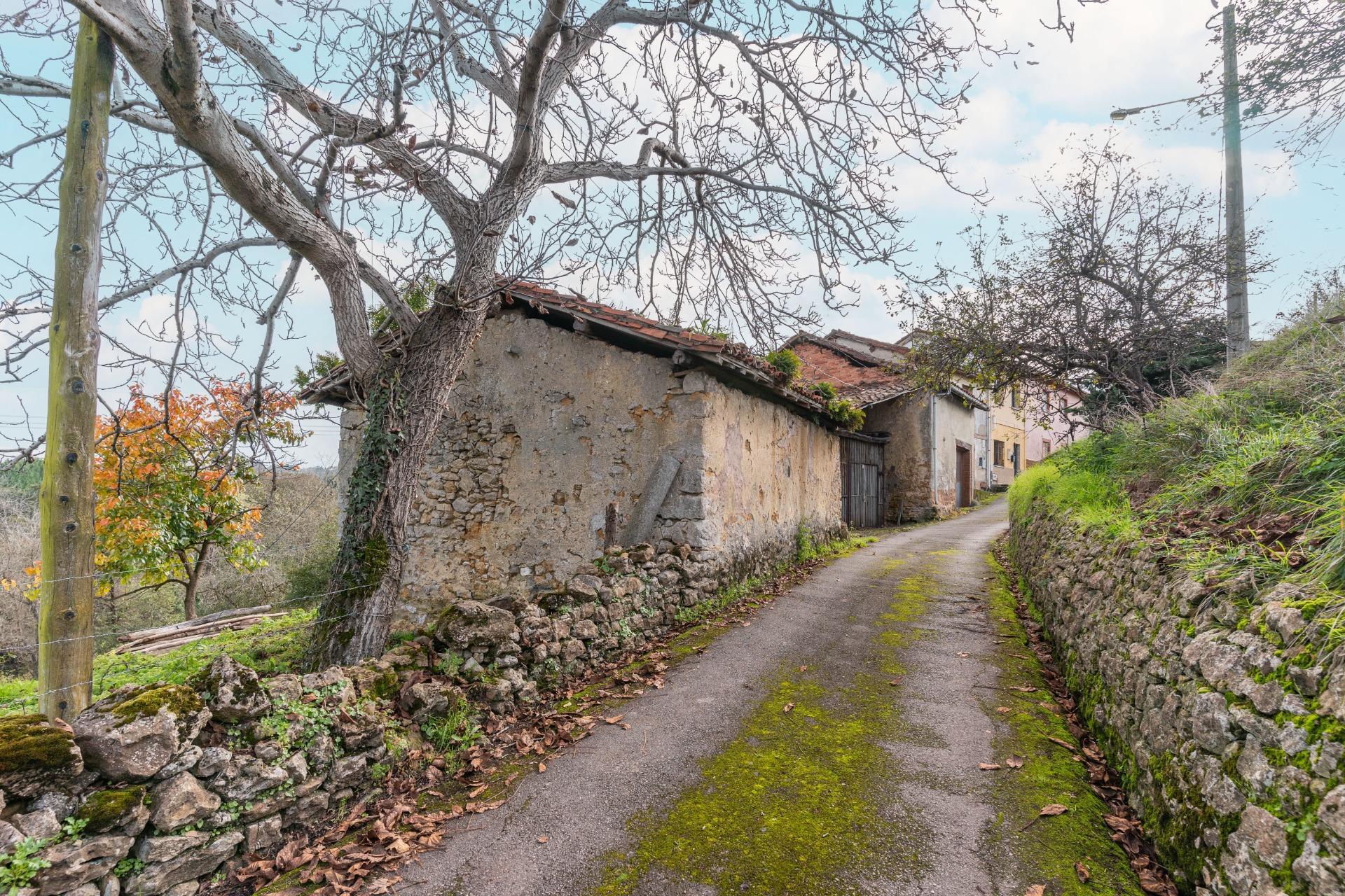 Fincas y solares-Venta-Oviedo-1684777-Foto-25