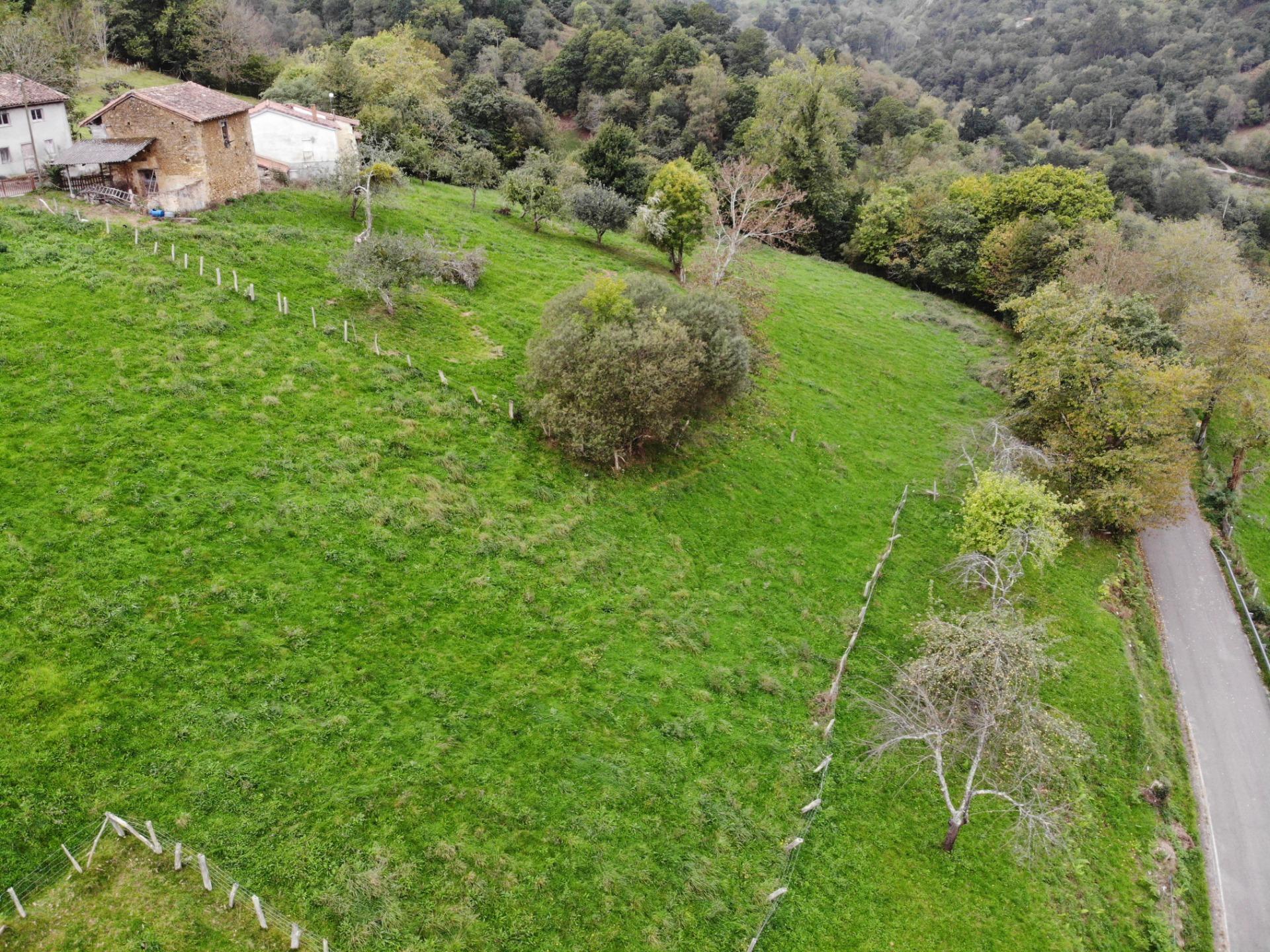 Fincas y solares-Venta-Piloña-1439492