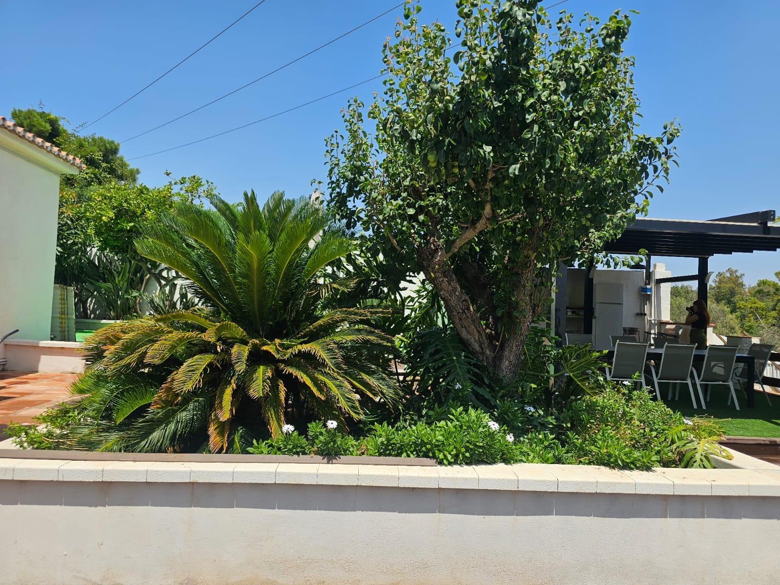 Casas o chalets-Venta-Mijas-1754169-Foto-8