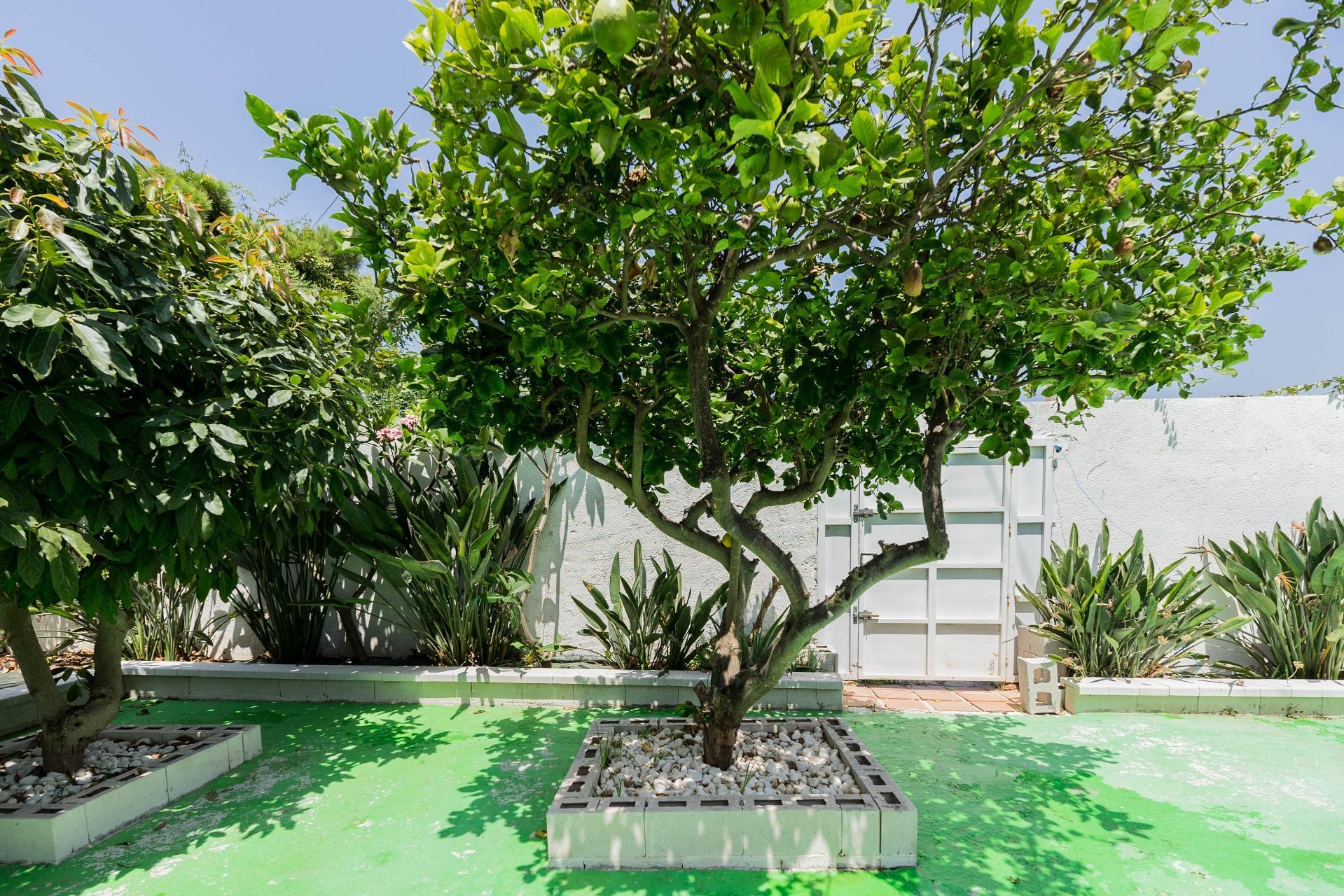 Casas o chalets-Venta-Mijas-1754169-Foto-12