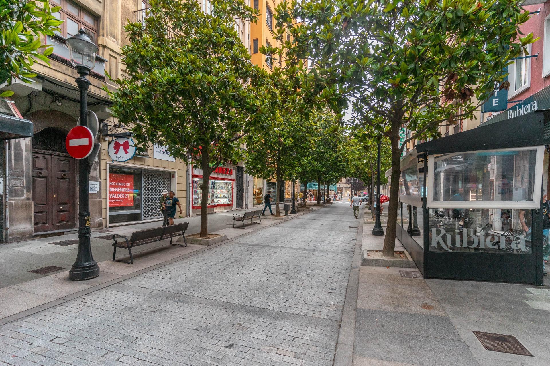 Pisos-Venta-GijÃ³n-1791276-Foto-37