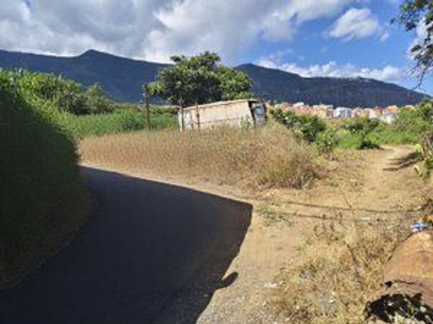 Fincas y solares-Venta-Los Realejos-1791689-Foto-5