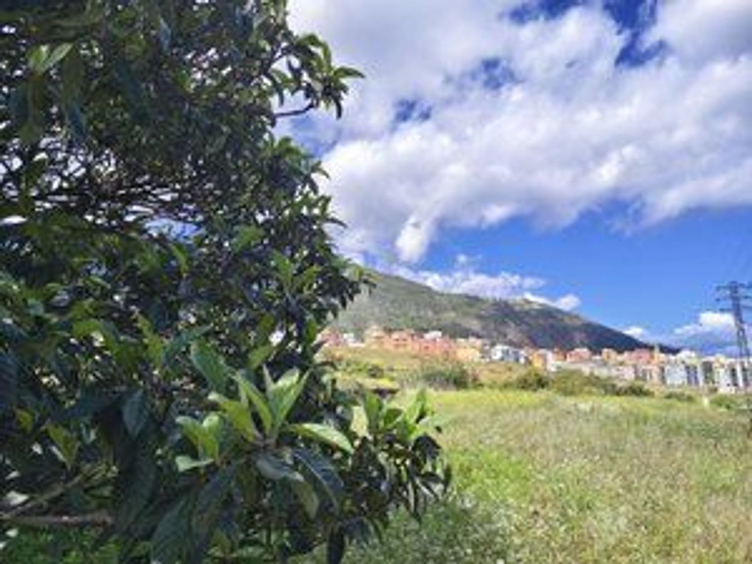 Fincas y solares-Venta-Los Realejos-1791689