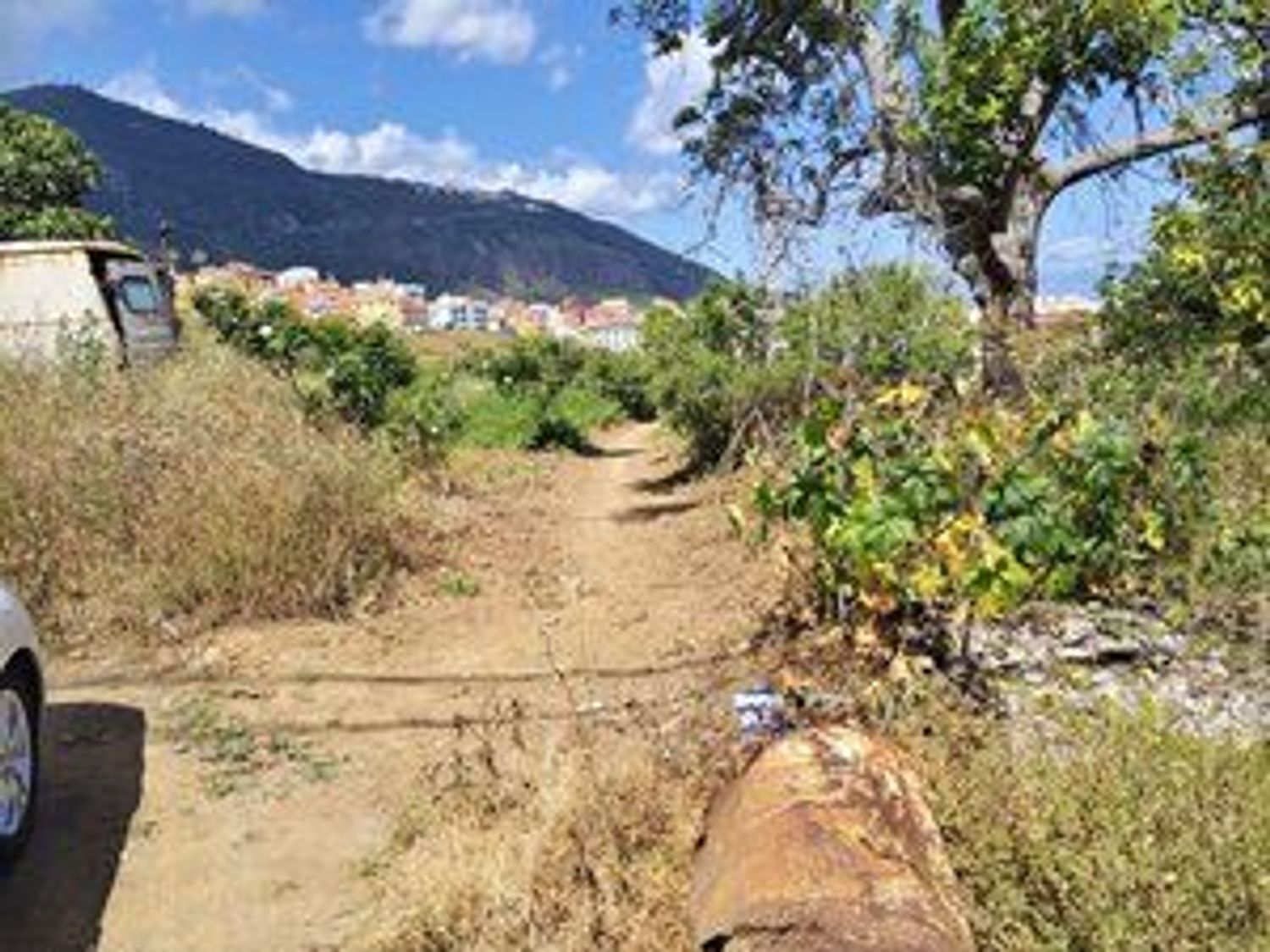 Fincas y solares-Venta-Los Realejos-1791689-Foto-4