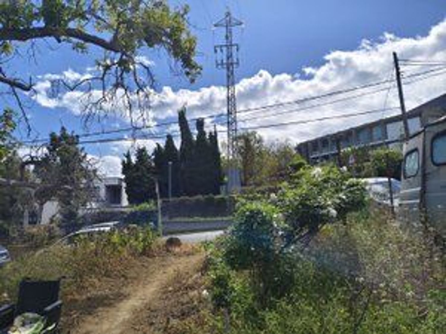 Fincas y solares-Venta-Los Realejos-1791689-Foto-2