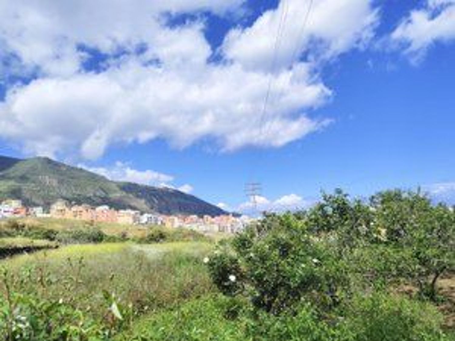 Fincas y solares-Venta-Los Realejos-1791689-Foto-6
