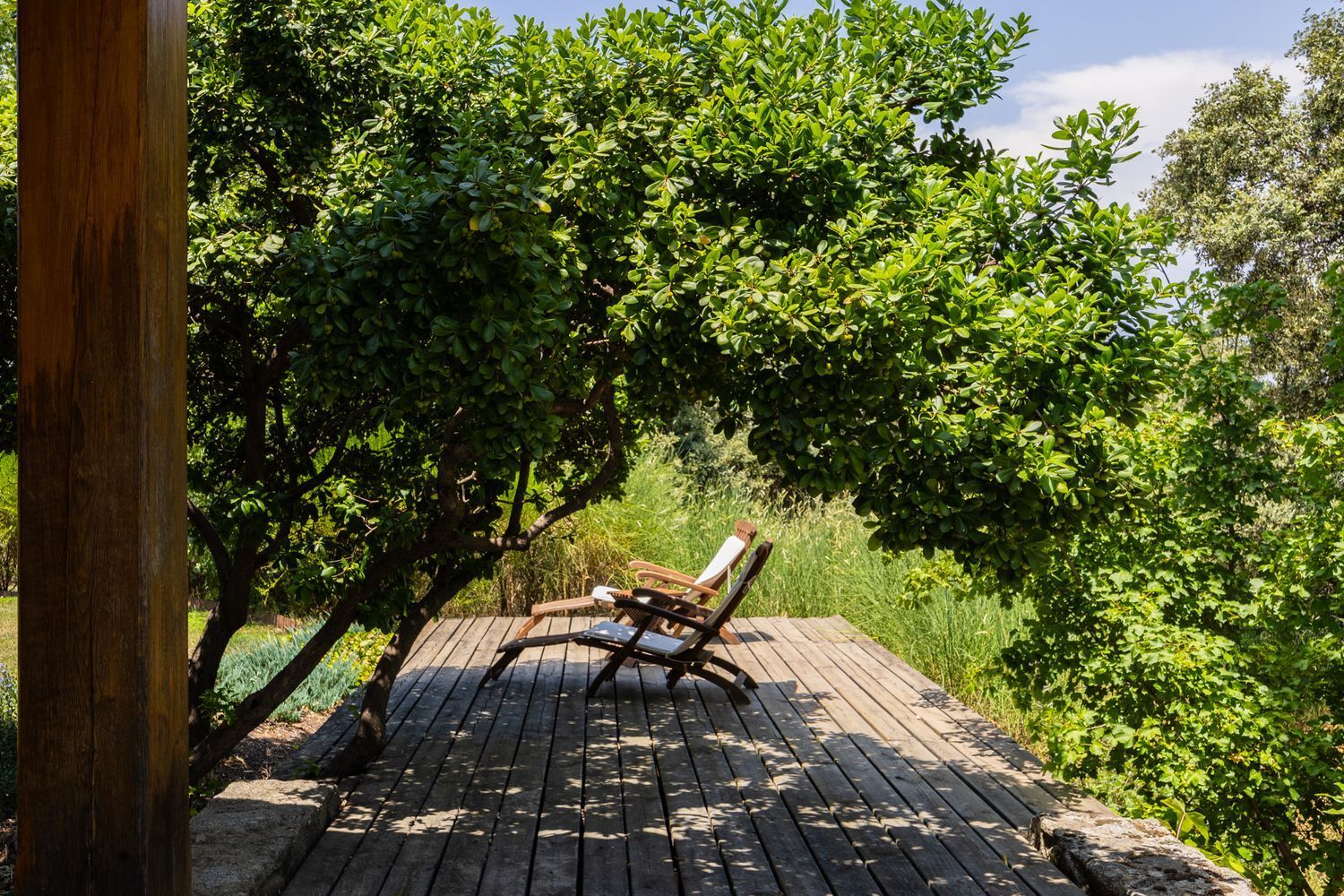 Casas o chalets-Venta-Las Rozas de Madrid-1764321-Foto-38