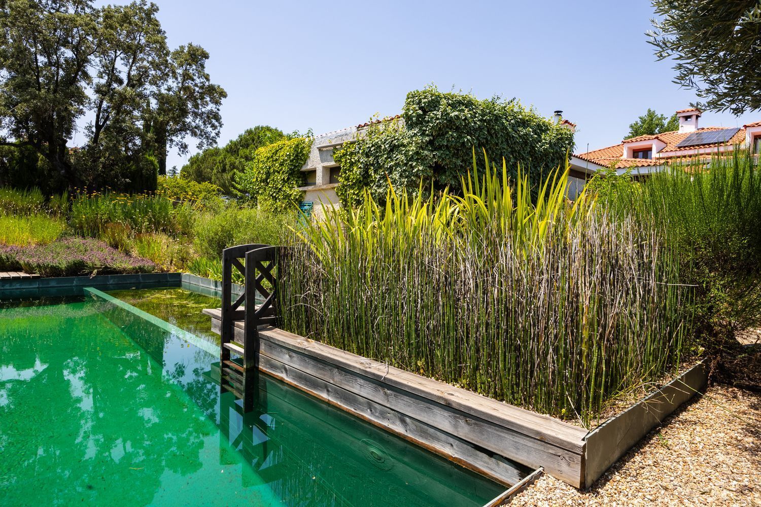 Casas o chalets-Venta-Las Rozas de Madrid-1764321-Foto-41
