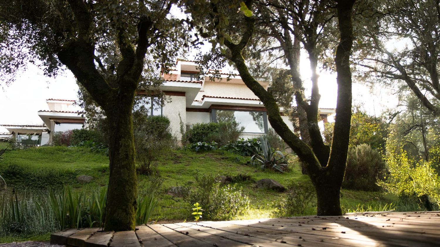 Casas o chalets-Venta-Las Rozas de Madrid-1764321-Foto-49
