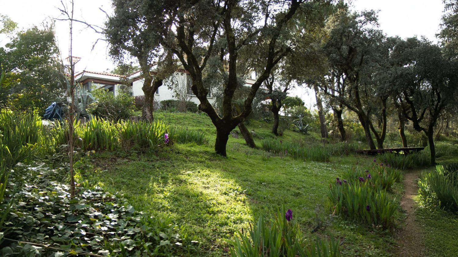 Casas o chalets-Venta-Las Rozas de Madrid-1764321-Foto-50