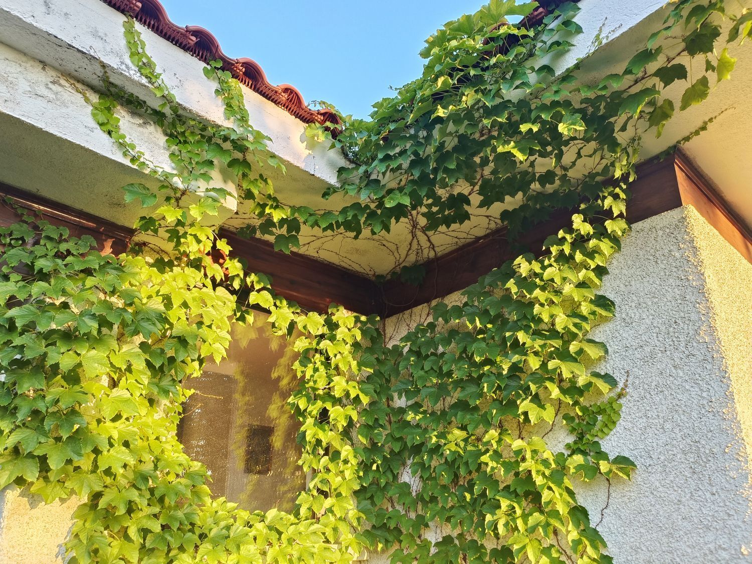 Casas o chalets-Venta-Las Rozas de Madrid-1764321-Foto-47