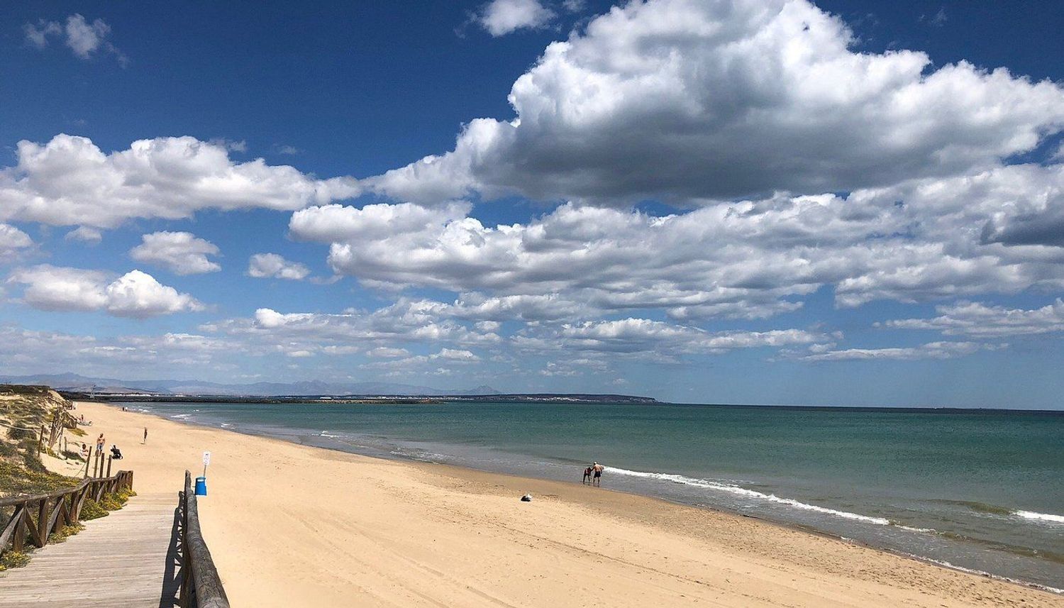 Pisos-Venta-Torrevieja-1768082-Foto-42