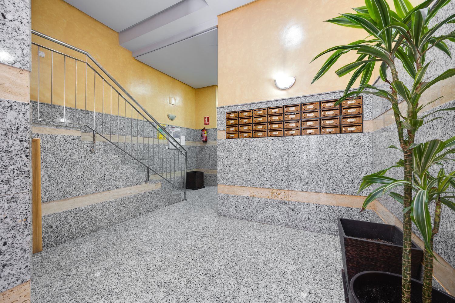 Pisos-Venta-Torrevieja-1791698-Foto-29