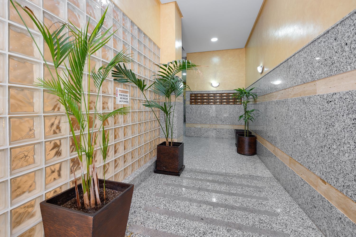 Pisos-Venta-Torrevieja-1791698-Foto-30