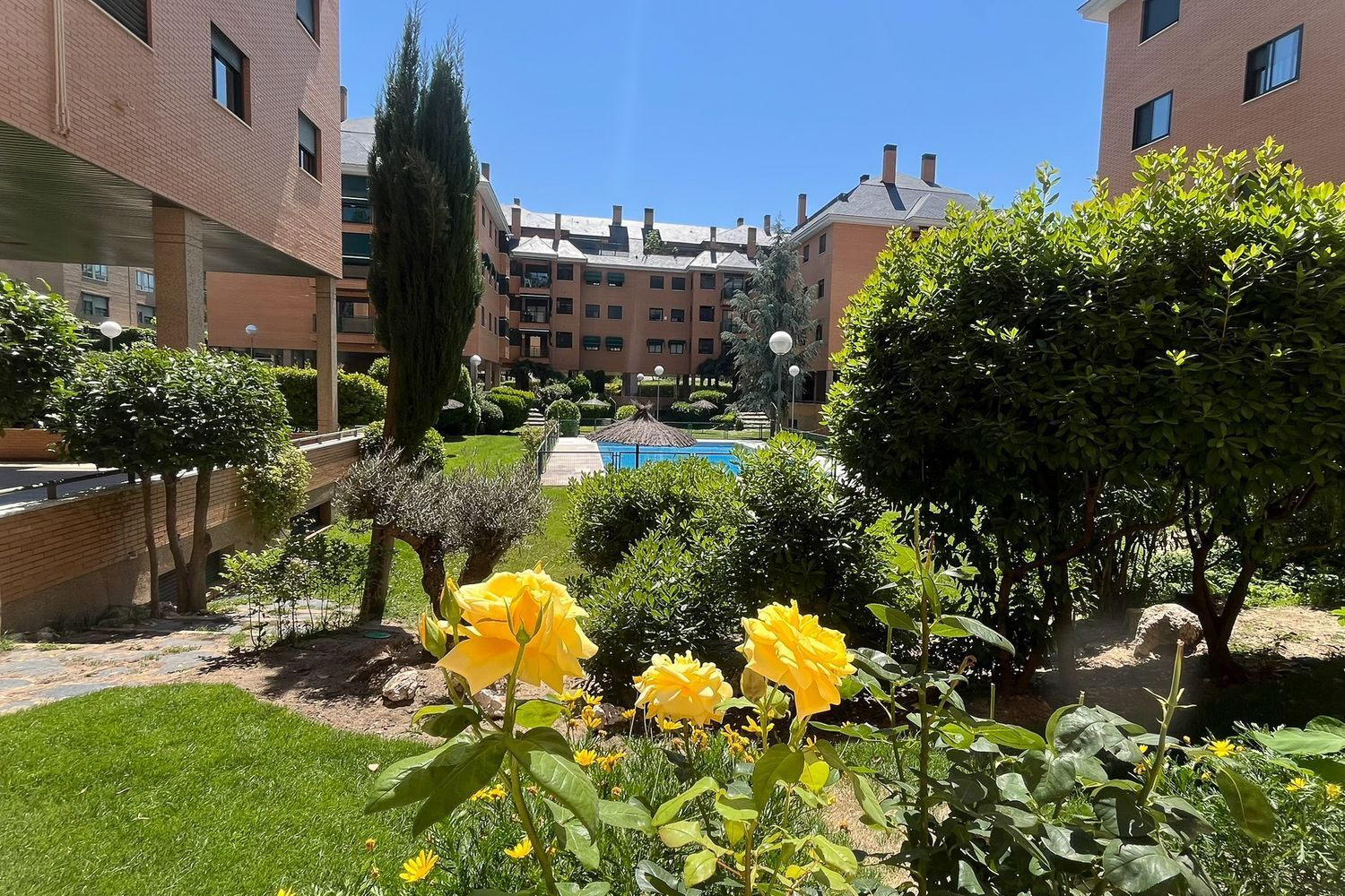 Pisos-Venta-Las Rozas de Madrid-1727003-Foto-42