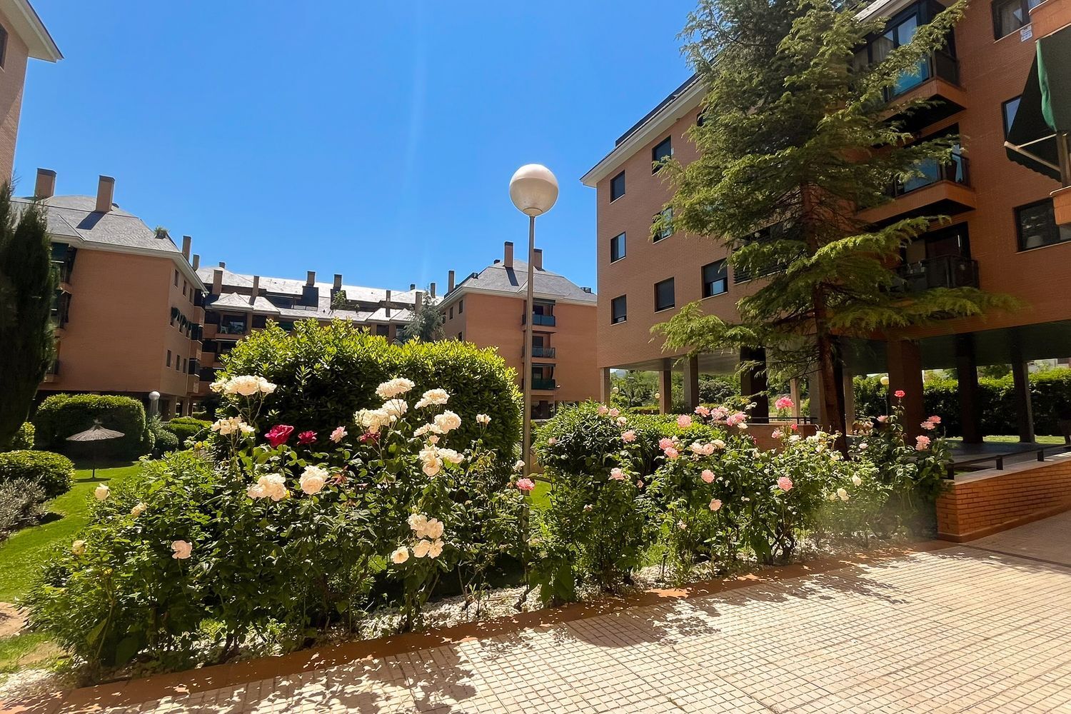 Pisos-Venta-Las Rozas de Madrid-1727003-Foto-41