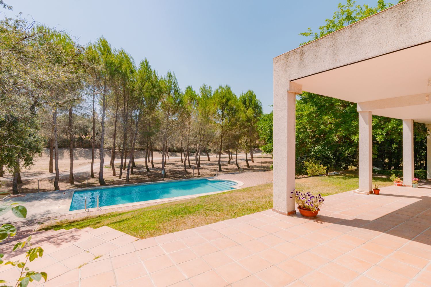 Casas o chalets-Venta-San AgustÃ­n del Guadalix-1791707-Foto-20