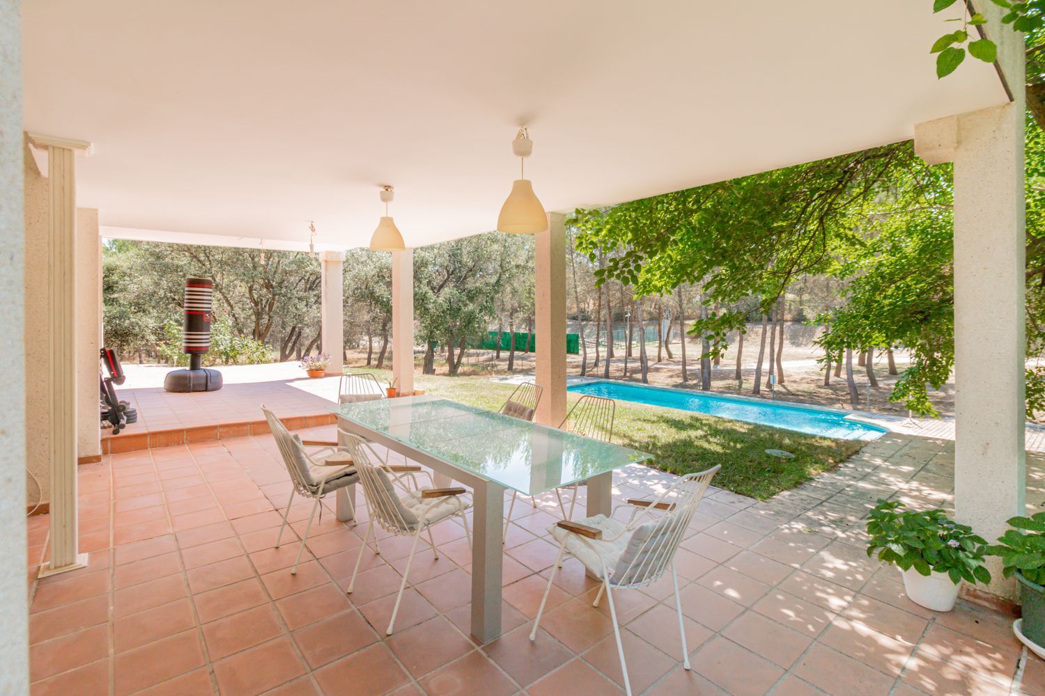 Casas o chalets-Venta-San AgustÃ­n del Guadalix-1791707-Foto-24