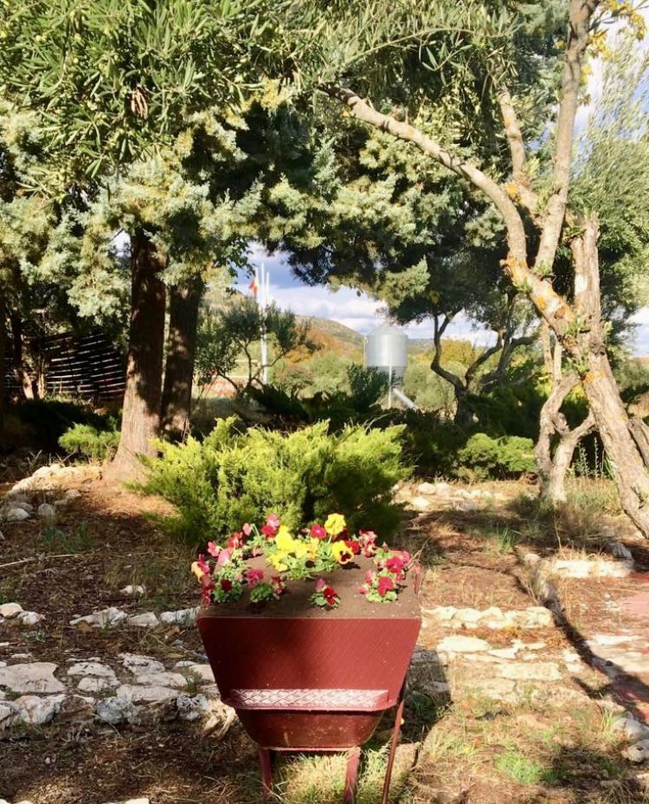 Fincas y solares-Venta-Ambite-1791716-Foto-23
