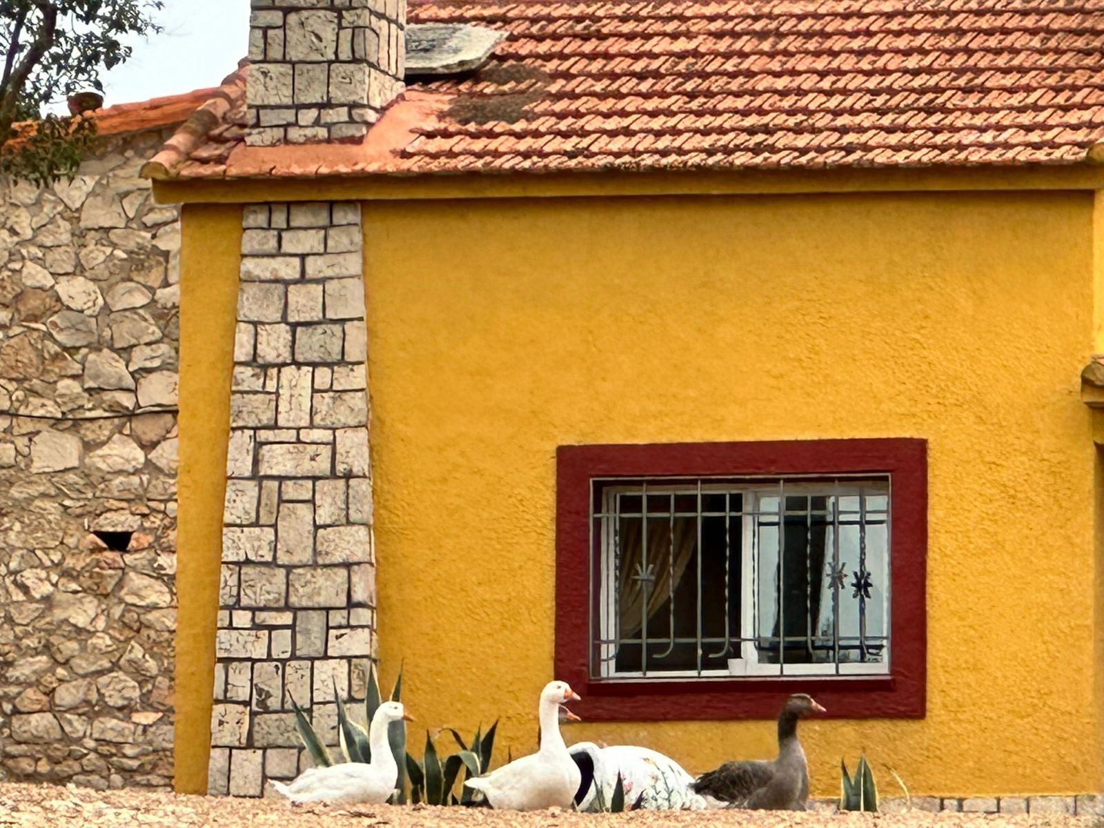 Fincas y solares-Venta-Ambite-1791716-Foto-24