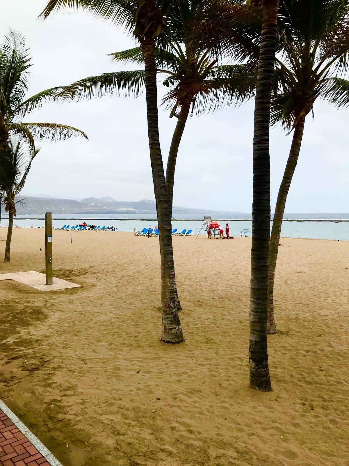 Pisos-Venta-Las Palmas de Gran Canaria-1754211-Foto-39