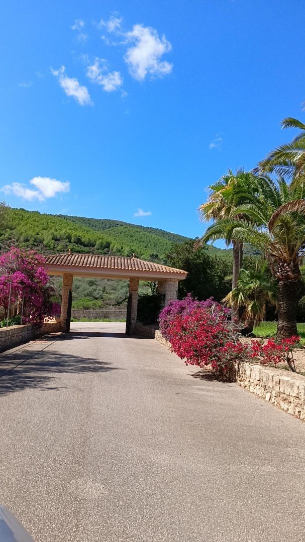 Casas o chalets-Venta-Manacor-1748239-Foto-10
