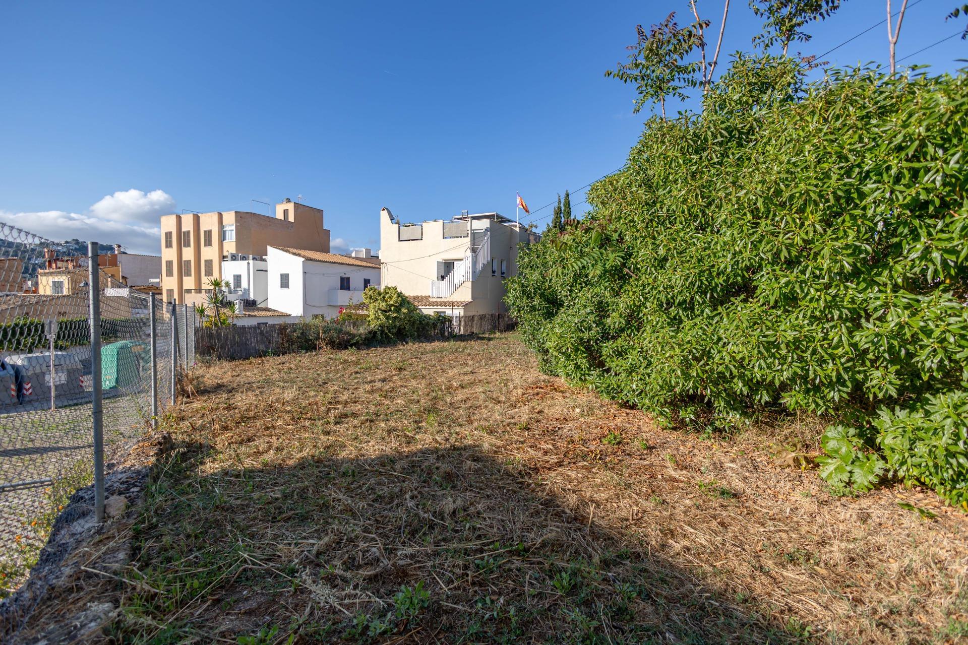 Casas o chalets-Venta-Andratx-1724076-Foto-23