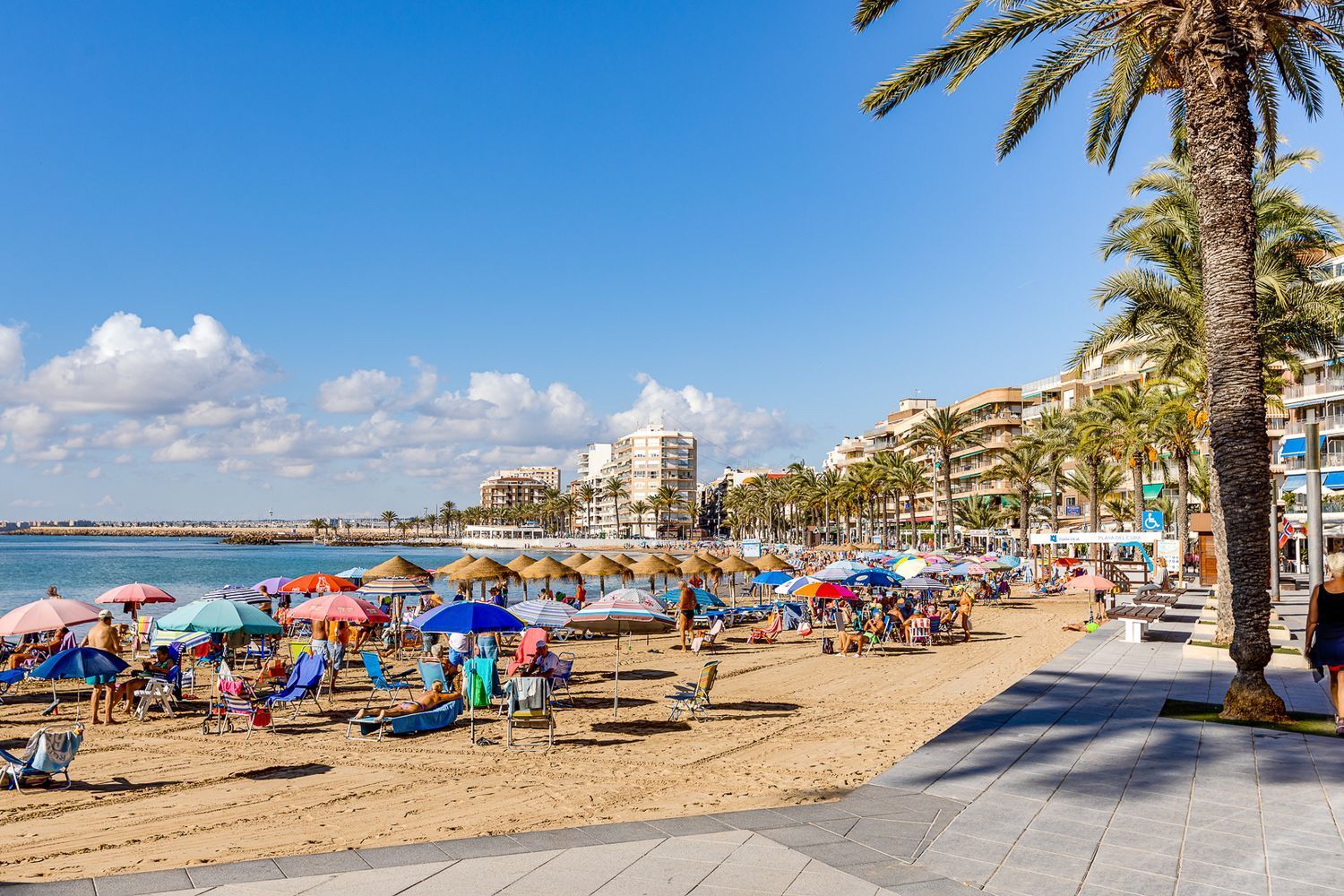 Pisos-Venta-Torrevieja-1752222-Foto-38
