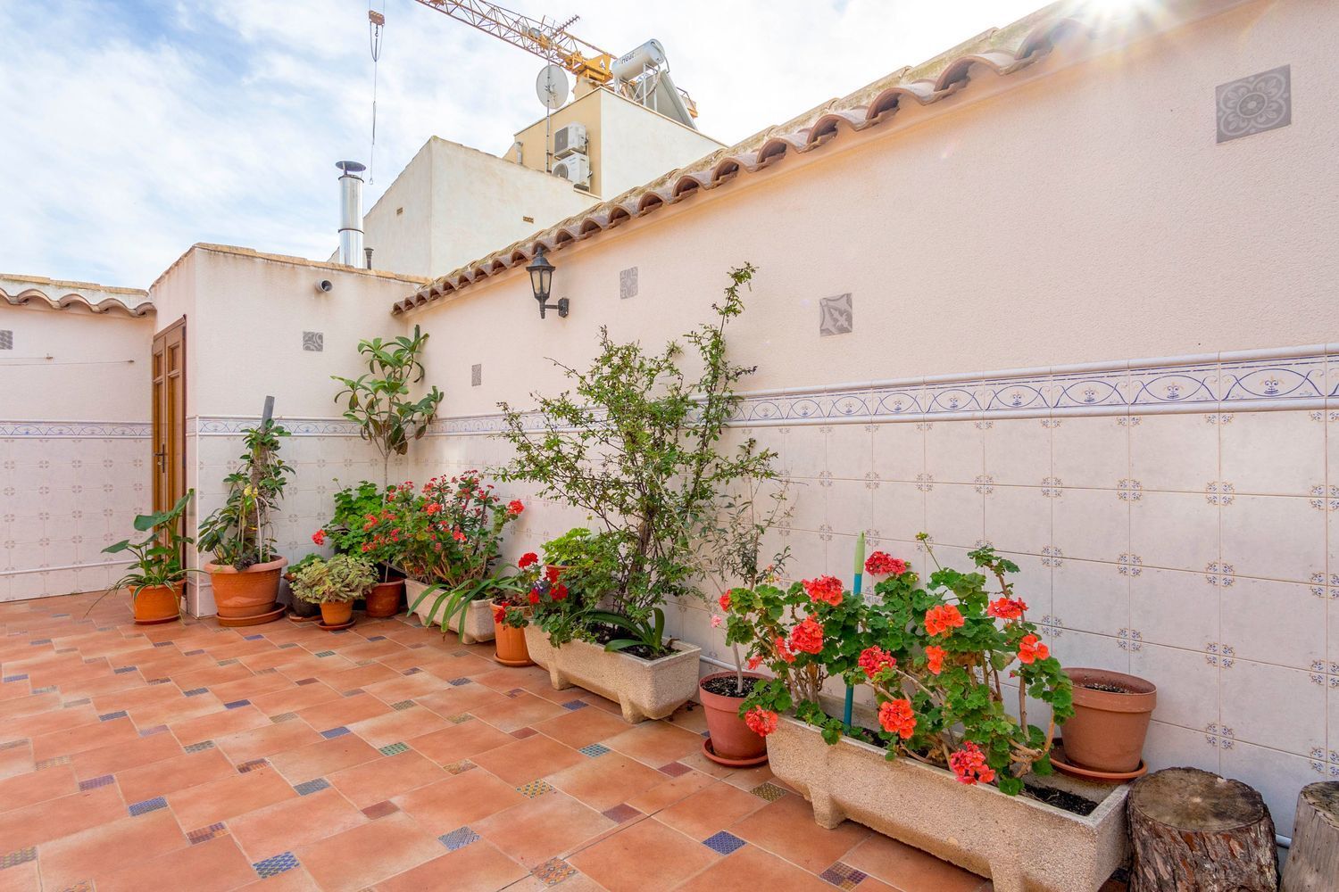 Casas o chalets-Venta-Pilar de la Horadada-774234-Foto-15