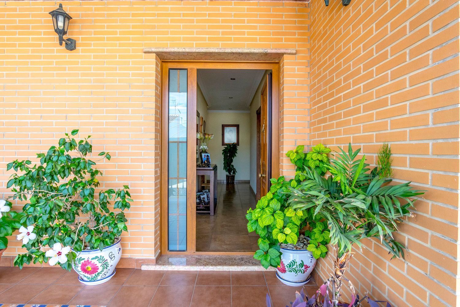 Casas o chalets-Venta-Pilar de la Horadada-774234-Foto-24
