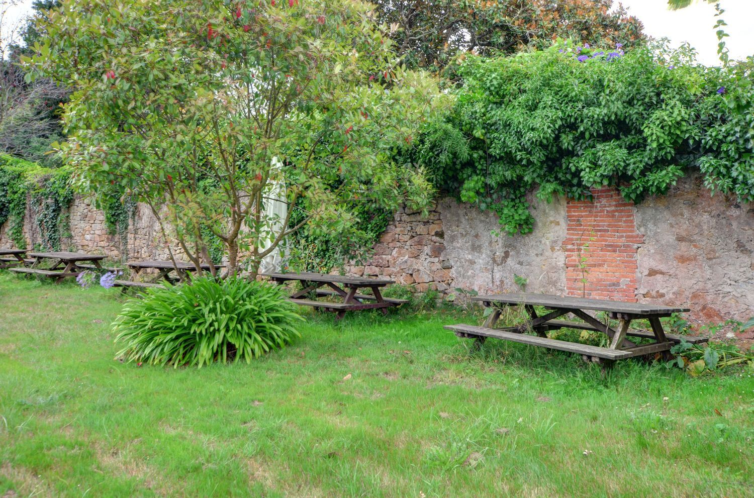 Negocios-Venta-GijÃ³n-1792205-Foto-34