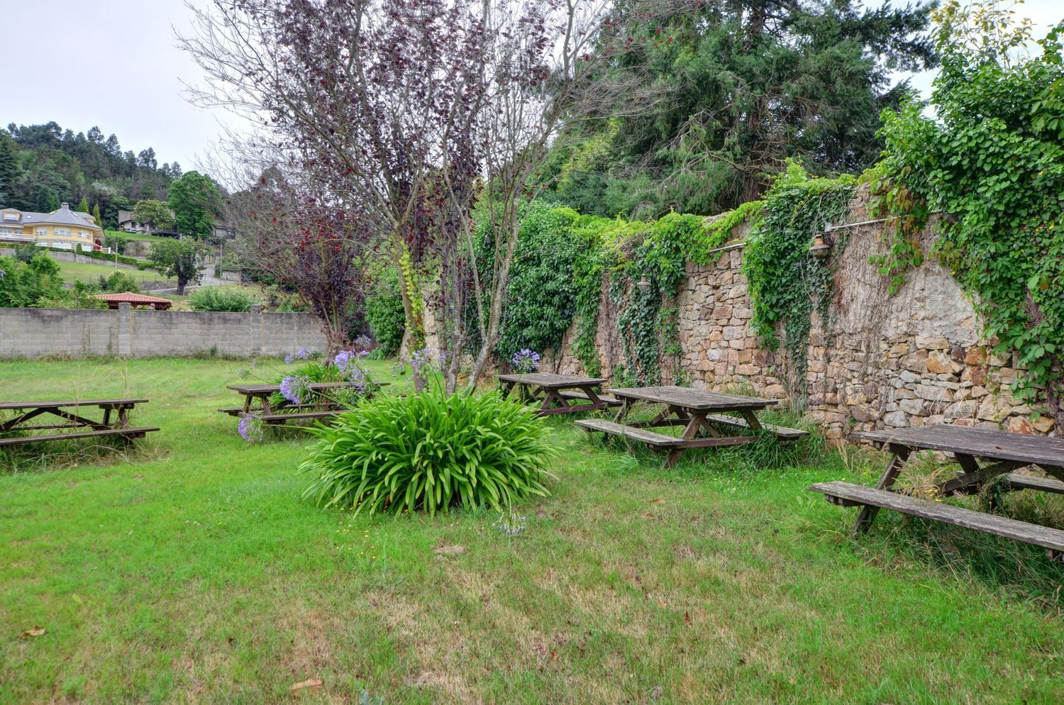 Negocios-Venta-GijÃ³n-1792205-Foto-35