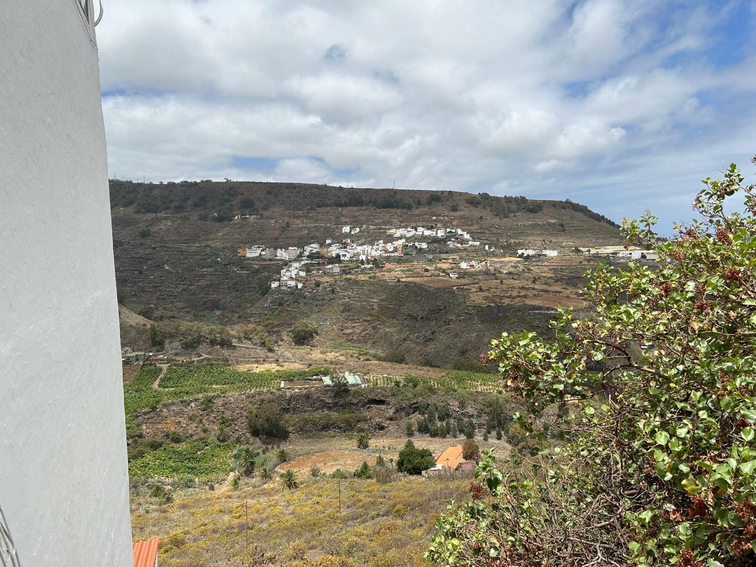 Fincas y solares-Venta-Las Palmas de Gran Canaria-1791704-Foto-5