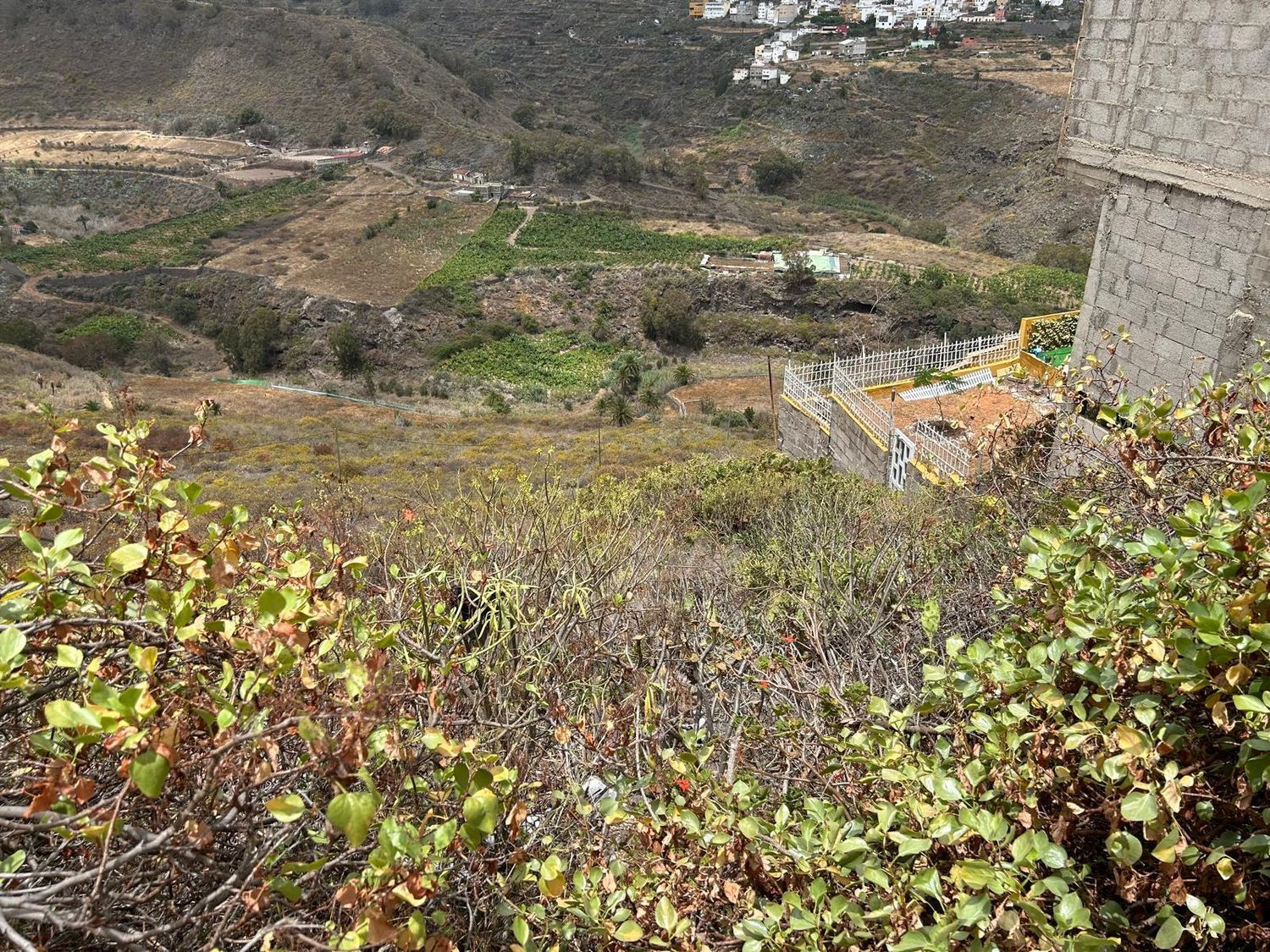 Fincas y solares-Venta-Las Palmas de Gran Canaria-1791704-Foto-3