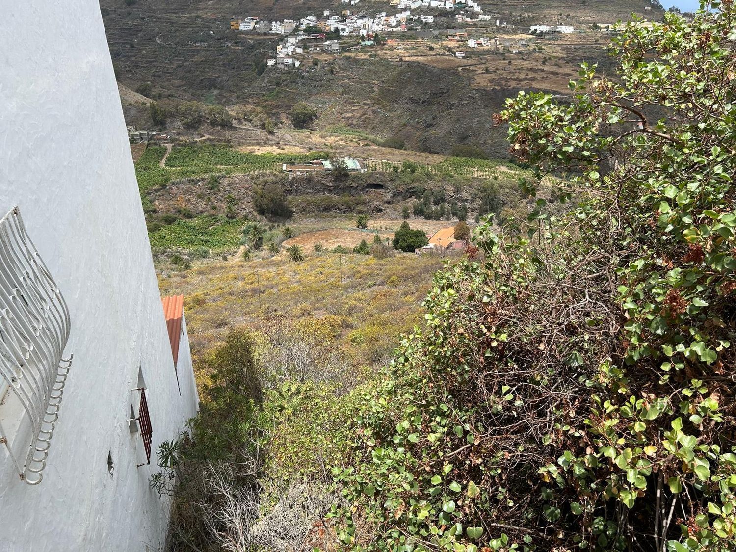 Fincas y solares-Venta-Las Palmas de Gran Canaria-1791704-Foto-4