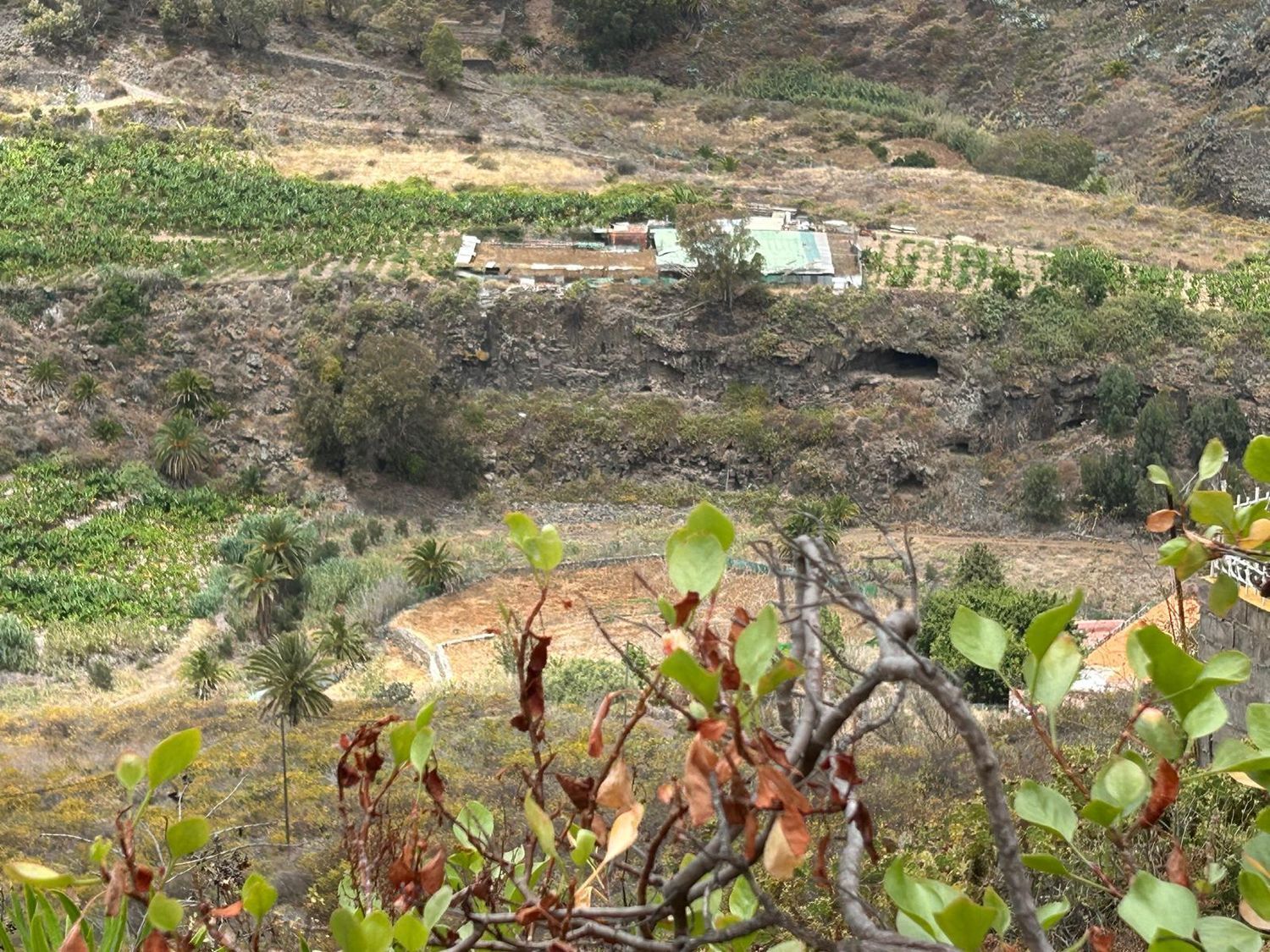 Fincas y solares-Venta-Las Palmas de Gran Canaria-1791704-Foto-8