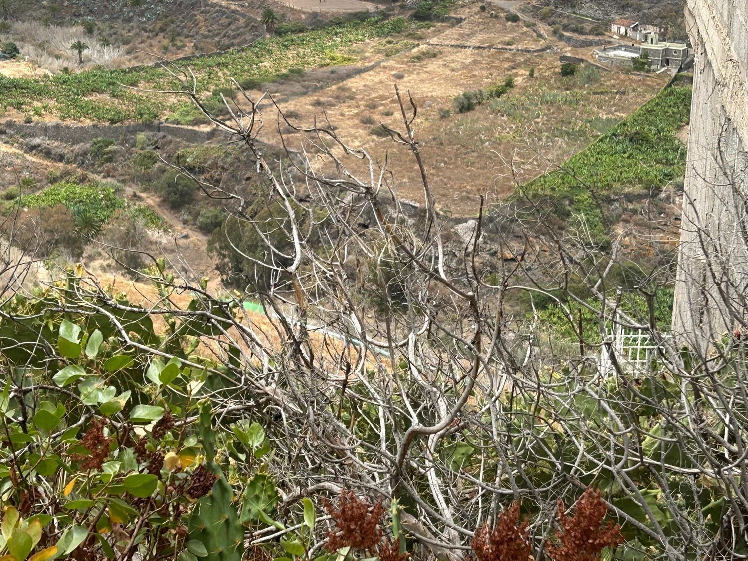 Fincas y solares-Venta-Las Palmas de Gran Canaria-1791704-Foto-10